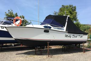 Tuccoli moby dick T24