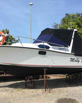 Tuccoli moby dick T24
