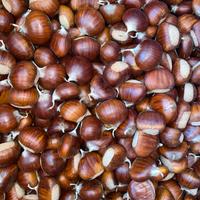 Giardino e fai da te