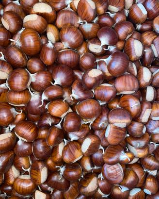 Giardino e fai da te