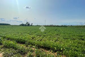 TER. AGRICOLO A CASATENOVO