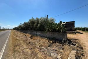 Terreno Agricolo - Massafra