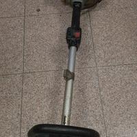 Decispugliator Alpina