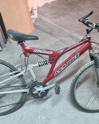 Mountain Bike 26 pollici