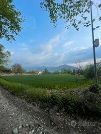 Terreni agricoli