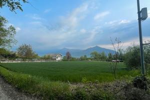 Terreni agricoli