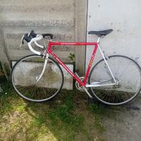 Bici da corsa Bottecchia COMP D9000