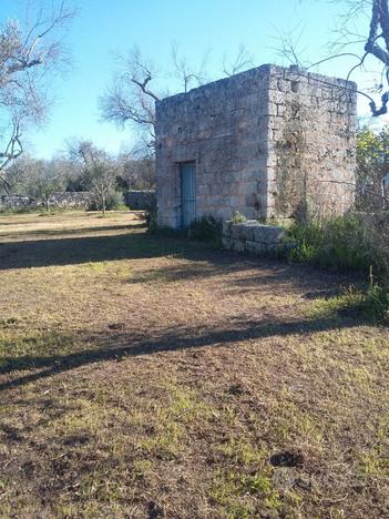 Terreno San Foca con rudere edificabile