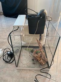 ACQUARIO