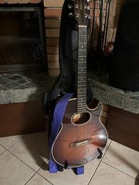 Chitarra ibanez serie AE