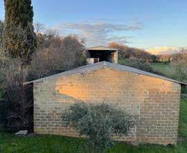 Vendita capannone agricolo di mq. 200 a pienza (si