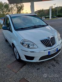 Lancia Musa gpl