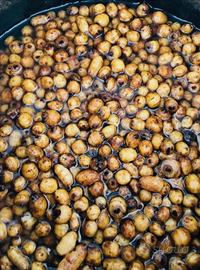 Esca Tigernut carpfishing