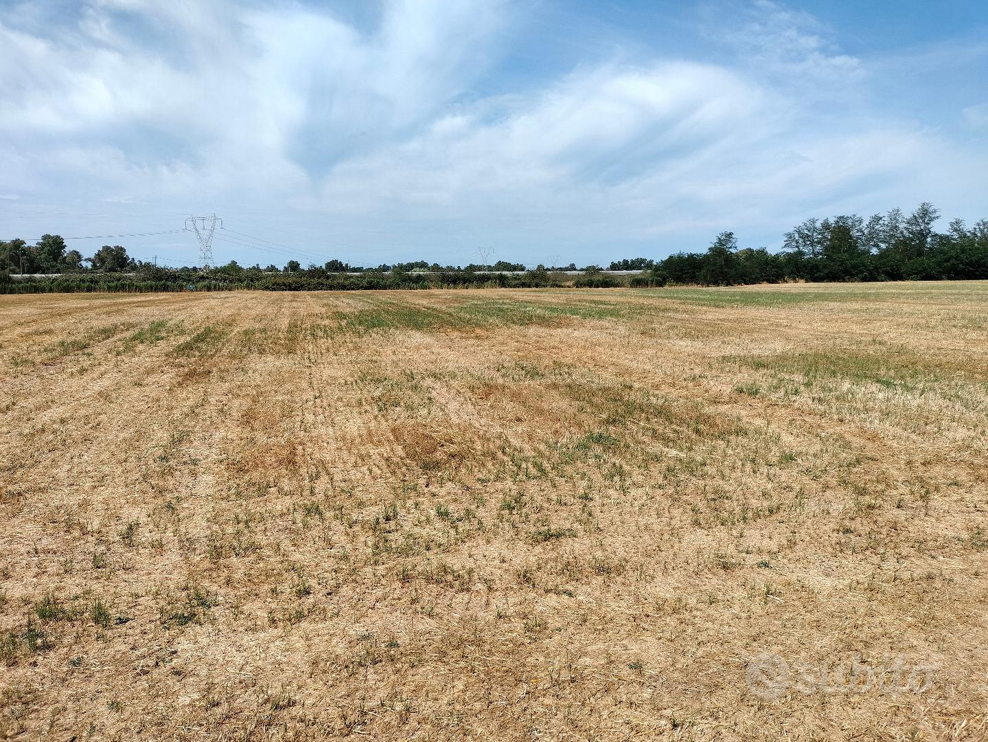 Terreno agricolo - Vista 3