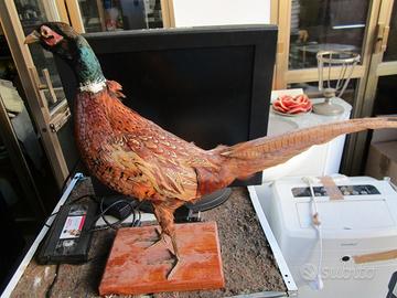 trofeo Fagiano anni 80 da collezione