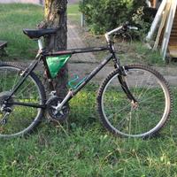 Bianchi Mountain Bike