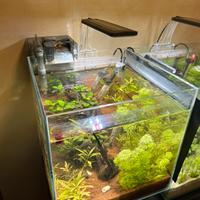 Acquario completo