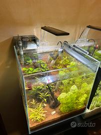 Acquario completo