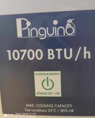 Condizionatore pinguino de longhi portatile