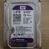 western digital 1Tb purple