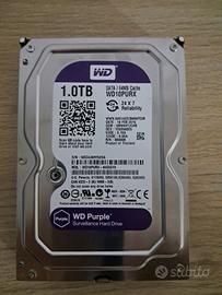 western digital 1Tb purple