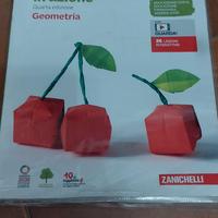 Libro Matematica in azione edizione Geometria