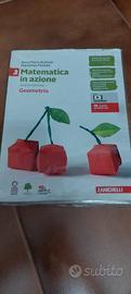 Libro Matematica in azione edizione Geometria