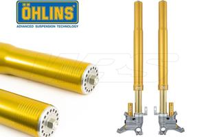 Forcella ohlins fgr 300