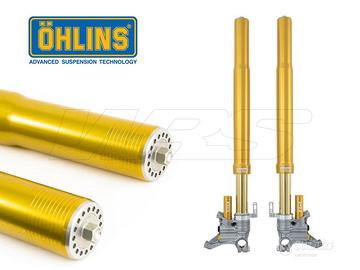 Forcella ohlins fgr 300