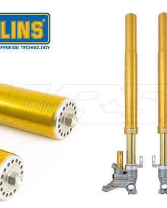 Forcella ohlins fgr 300