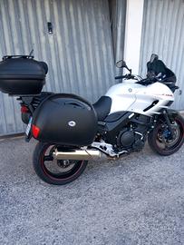 Yamaha tdm 900, condizioni perfette 