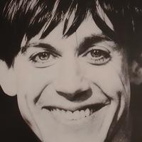 poster Iggy Pop Stile retrò formato A3 