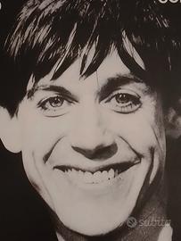 poster Iggy Pop Stile retrò formato A3 