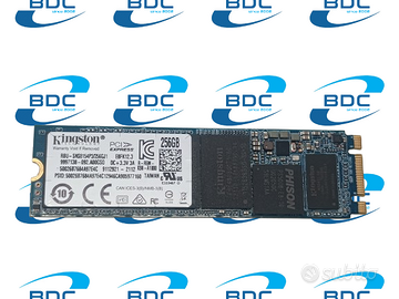 Ssd M.2 Kingston 256gb SNS8154P3/256GJ1  PCIE