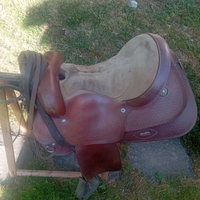 Selle americane per cavallo