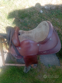 Selle americane per cavallo