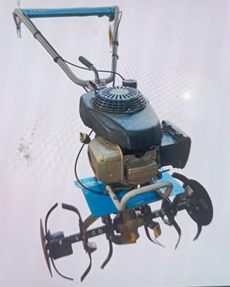 MOTOZAPPA BERTOLINI MOD. 212