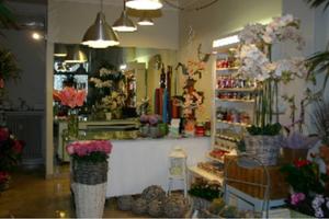 PRESTIGIOSO Negozio di FIORI in VALENZA