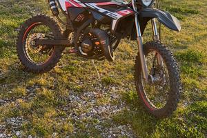 Beta rr50 (86)