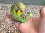 Immagine 2