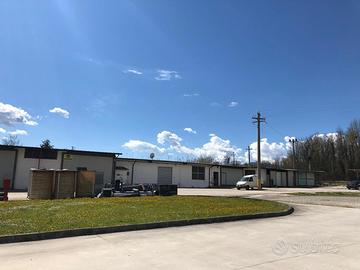 Negozio Cassino [FILARO200_PFACG]