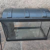 acquario 20 litri con pompa e filtro a scomparti