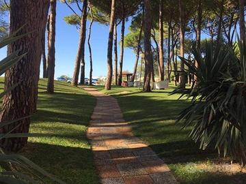 Attività / Licenza di 300 m² a Jesolo