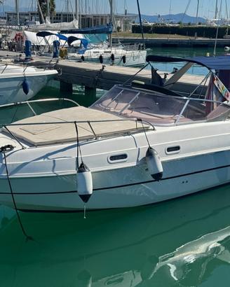 Fiart Mare 28 Genius (2004)