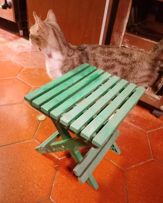 Piccolo sgabello in plastica pieghevole 