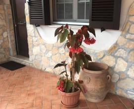 Villa dany