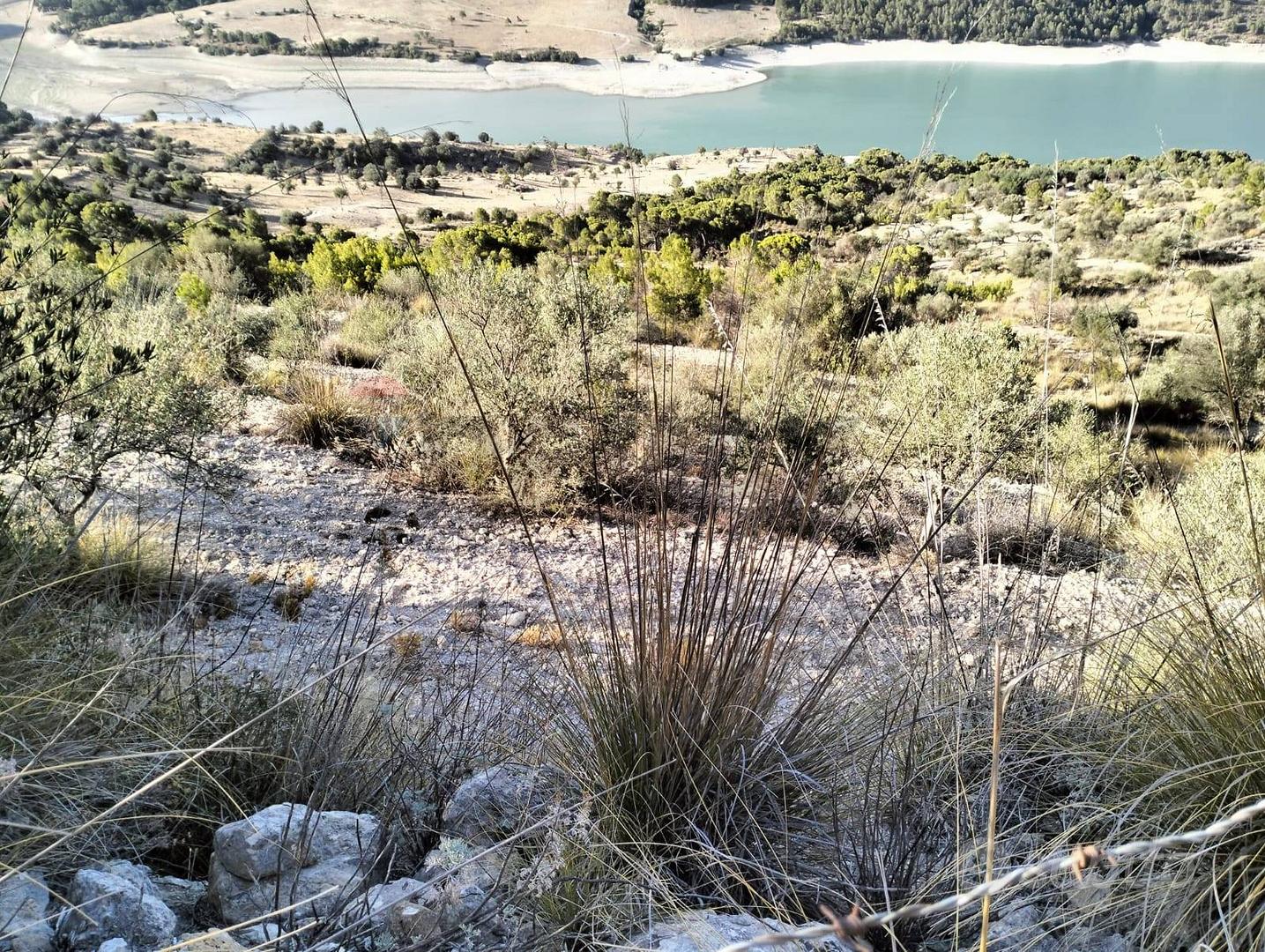 Terreno Edificabile - Licodia Eubea - Vista 4