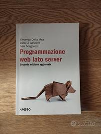 Programmazione web lato server