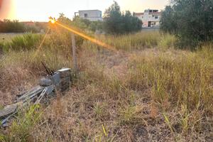 Terreno agricolo