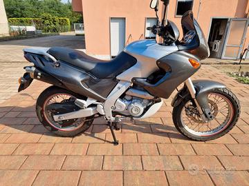 Aprila pegaso